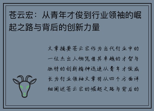 苍云宏：从青年才俊到行业领袖的崛起之路与背后的创新力量